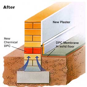 Click here to return to the RMCSPL home page